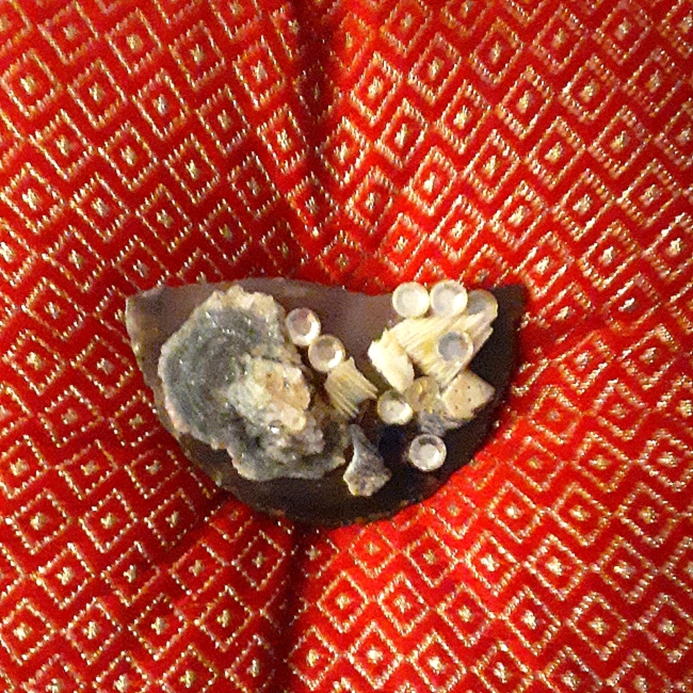 Sea Brooch by Pigeon